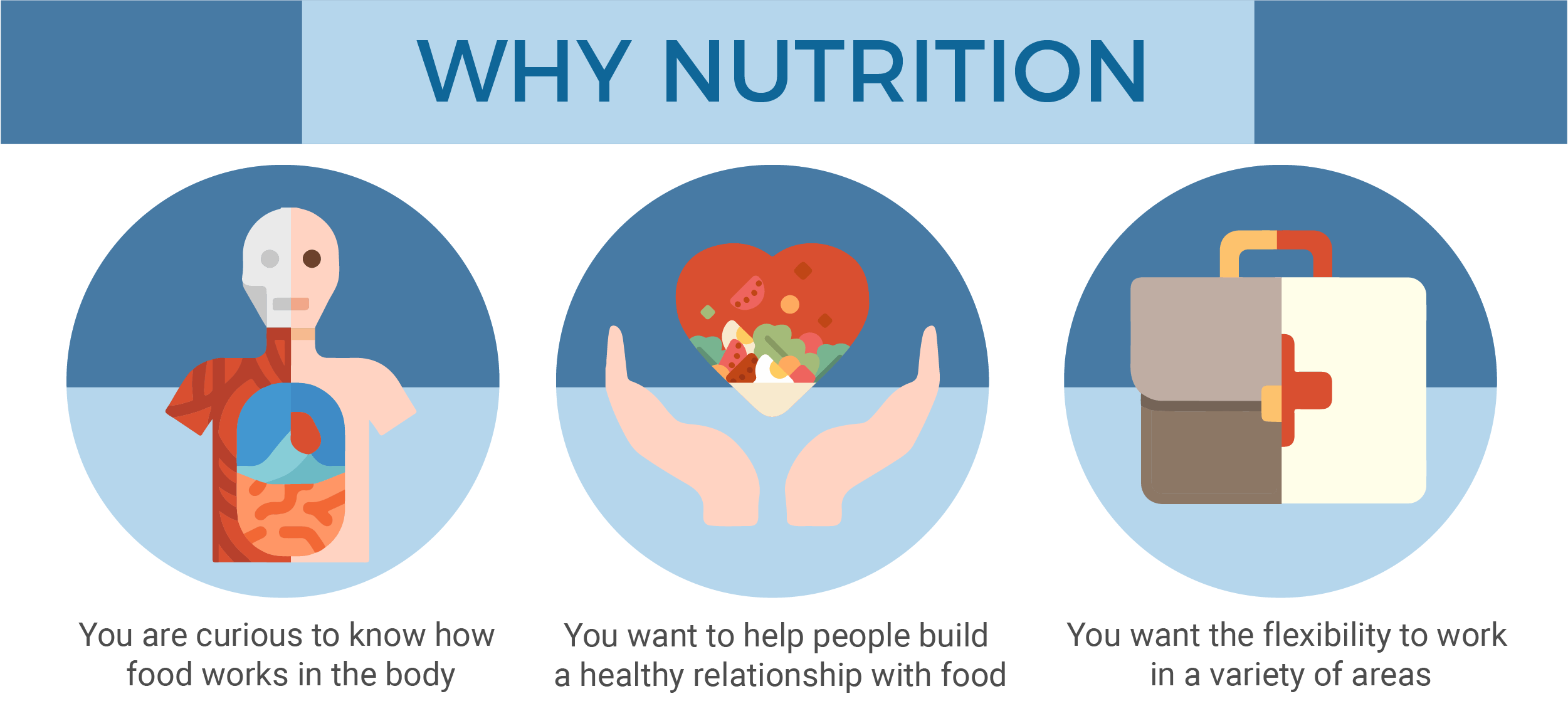 nutrition-course-in-malaysia-what-it-is-pathway