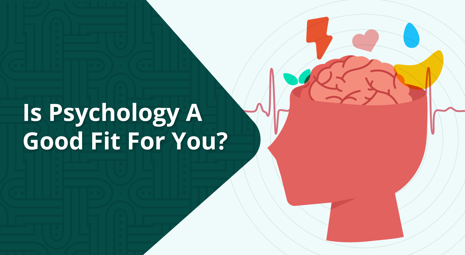 Should You Study Psychology? Personality Quiz